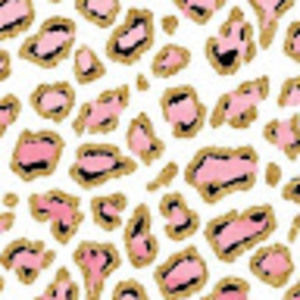 Meet your Posher, Carissa